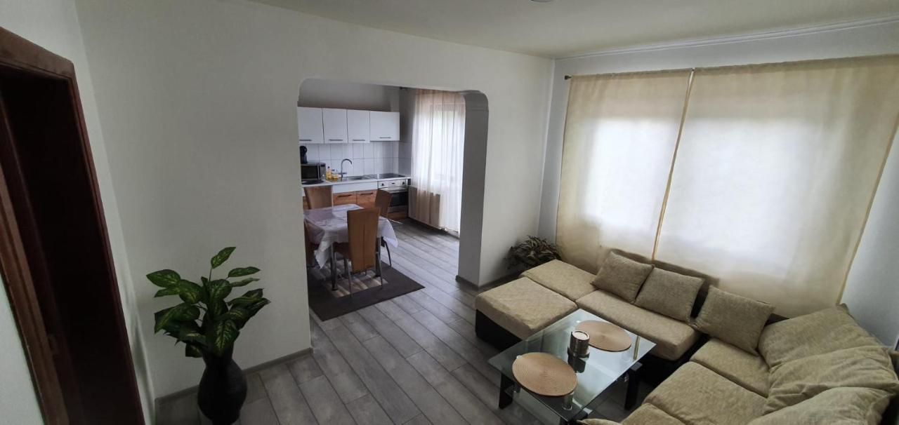 Casa Alex Si Daiana Apartment Orsova Ngoại thất bức ảnh