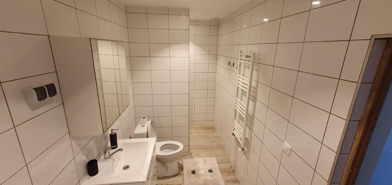 Casa Alex Si Daiana Apartment Orsova Ngoại thất bức ảnh